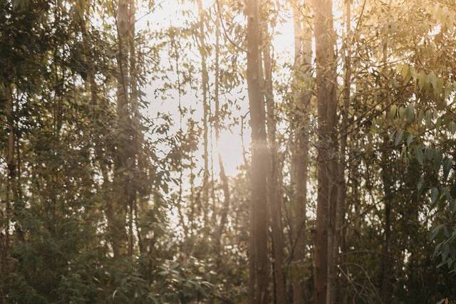 Casamento Campos do Jordão