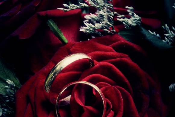 Apresentação das alianças de casamento