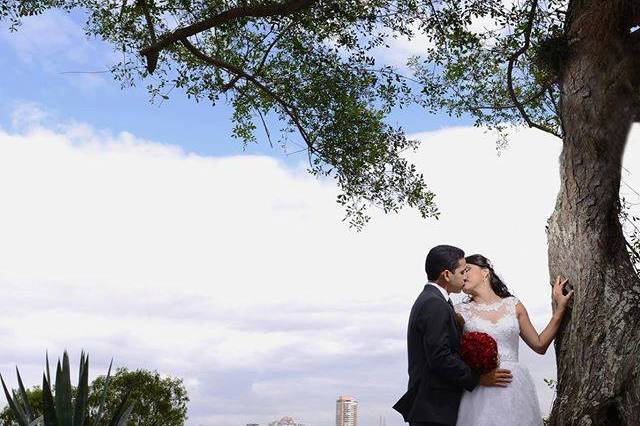 Trash the Dress