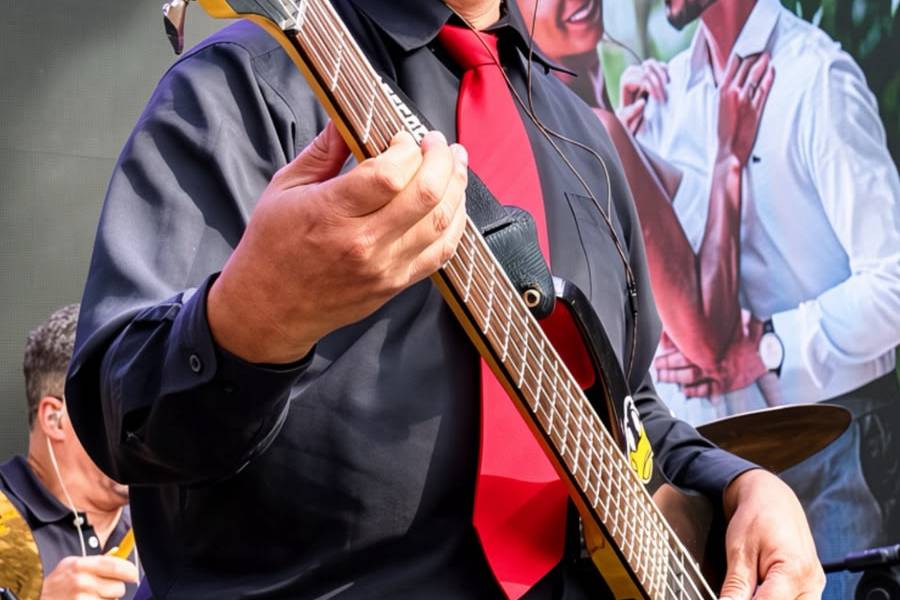 Banda fox