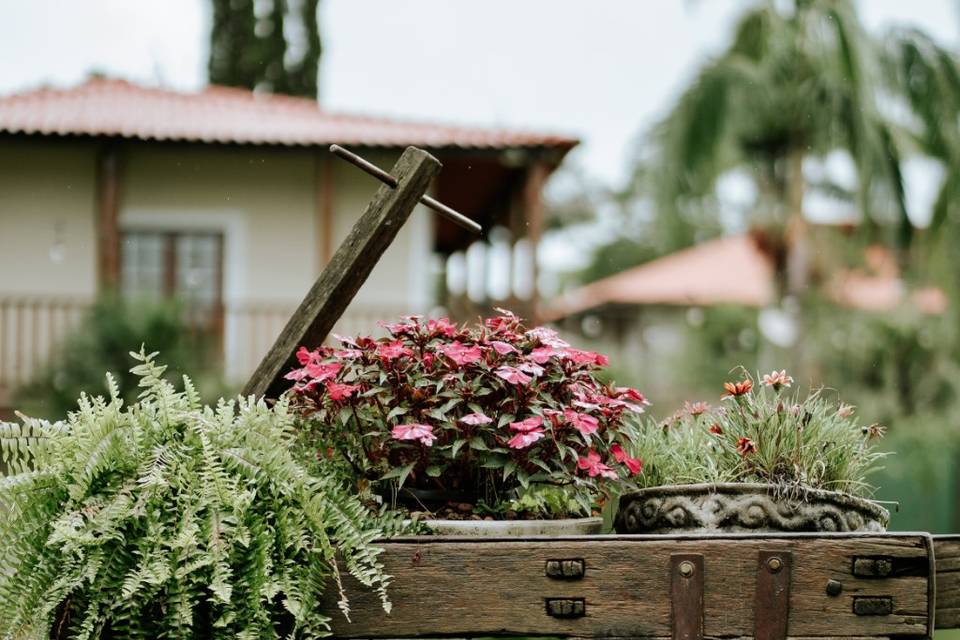 Decoração