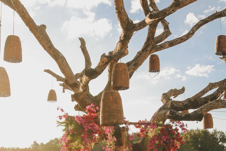 Império dos Nobres