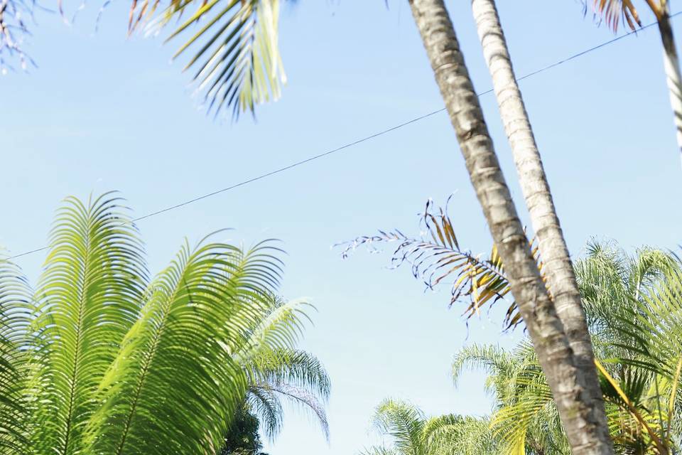 Externo