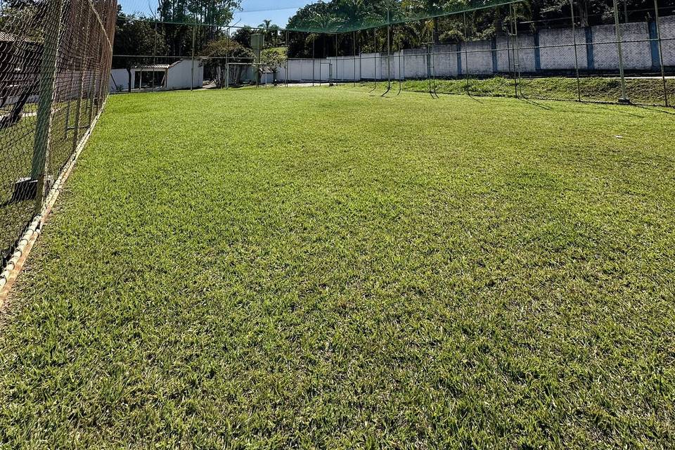 Campo