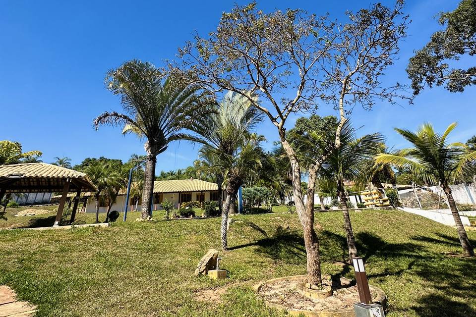 Externo
