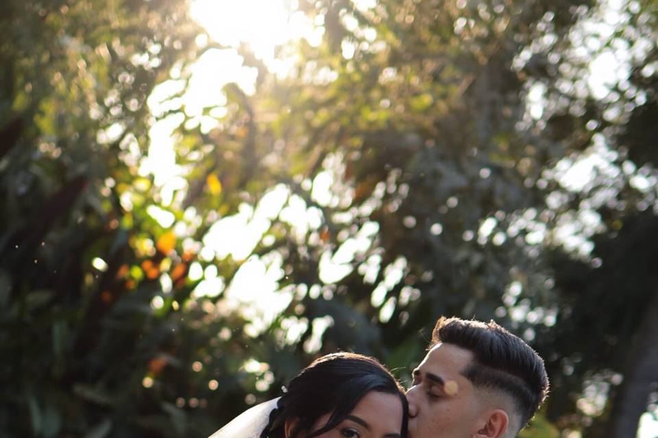 N & P