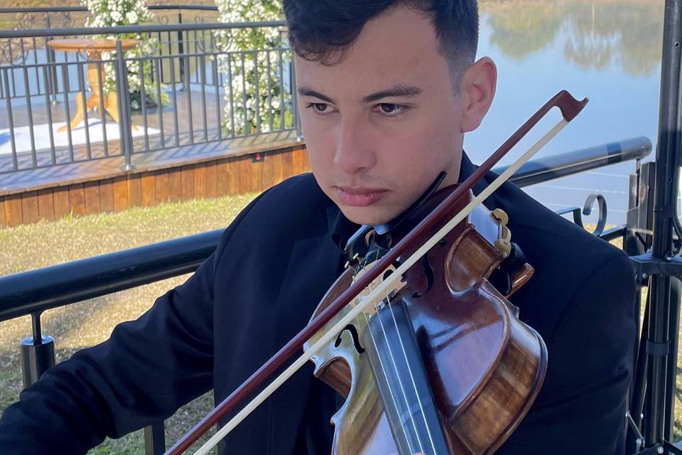 Violino