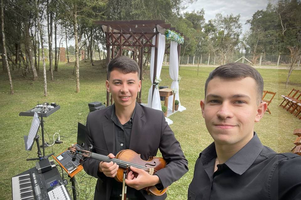 Violino