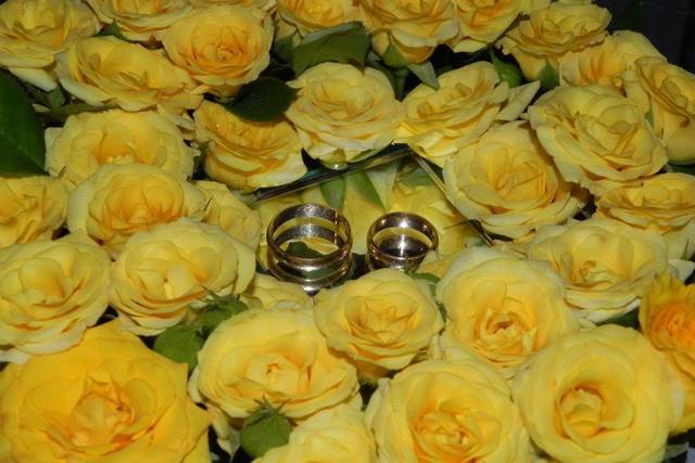 Bodas