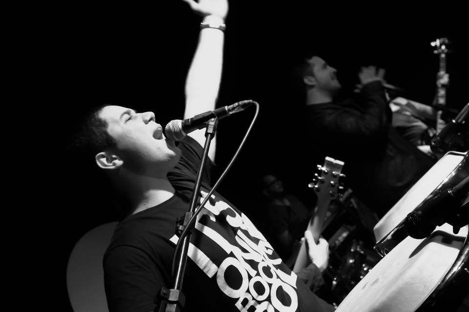 Shows