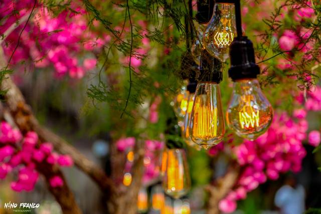Lampadas de Filamento