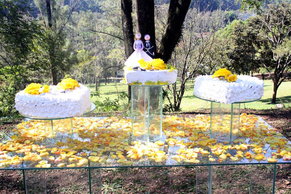 Casamento no parque