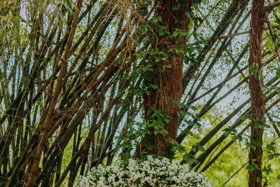 Clássico verde e branco