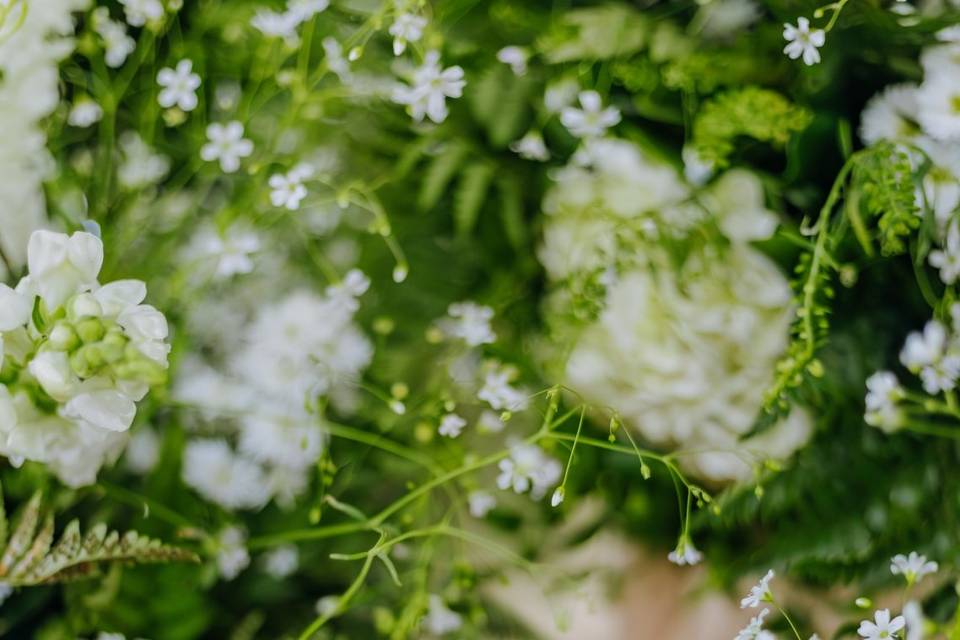 Clássico verde e branco