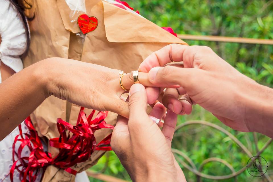 Pedido de Casamento