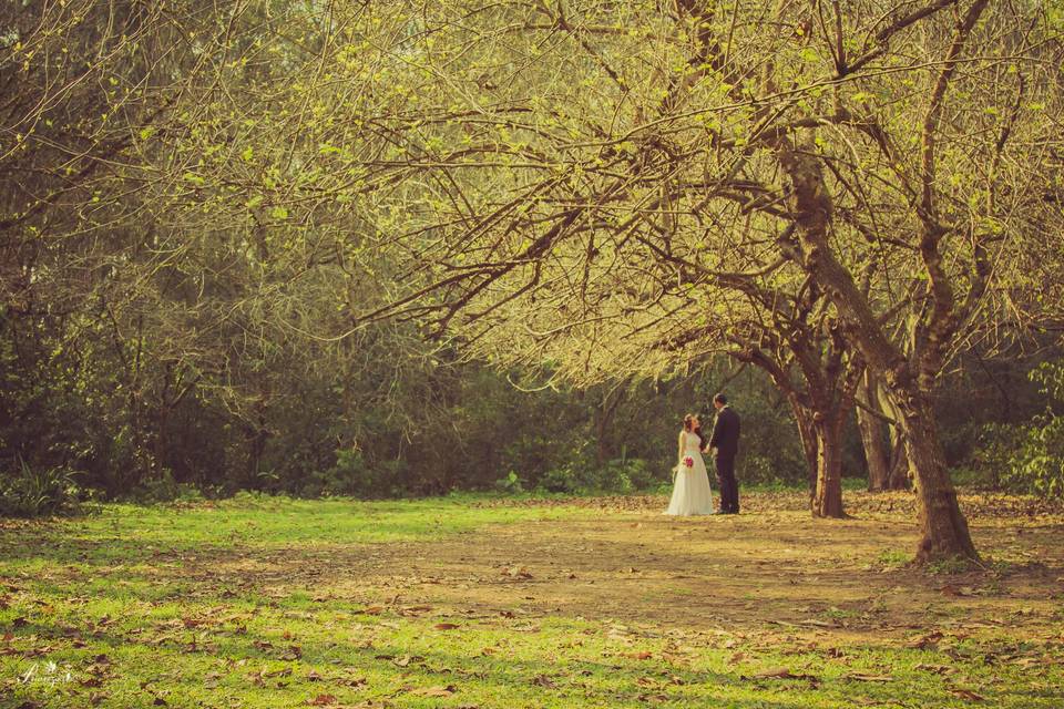 Prioriza, Trash the dress