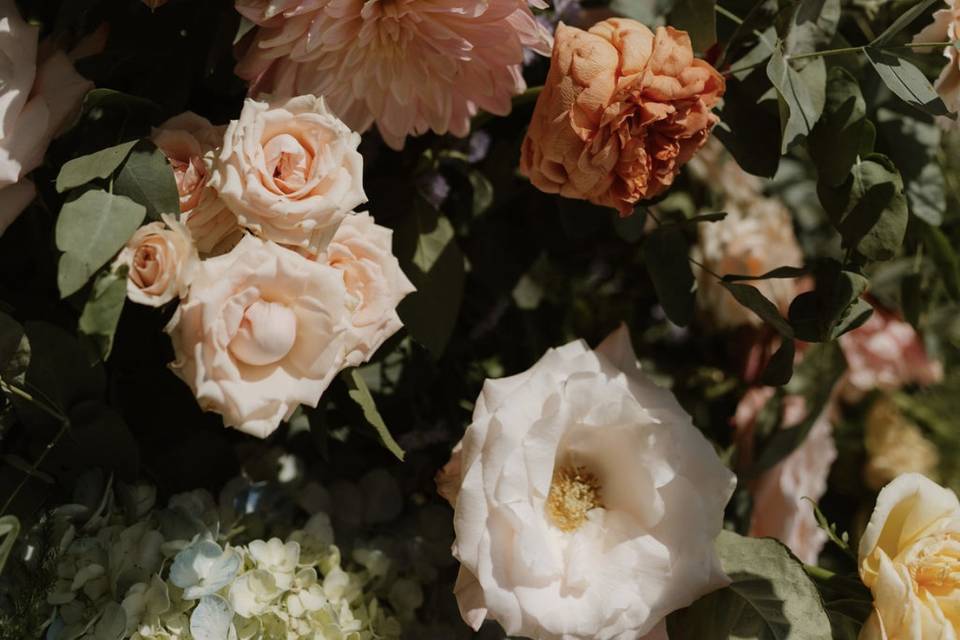 Flores nobres