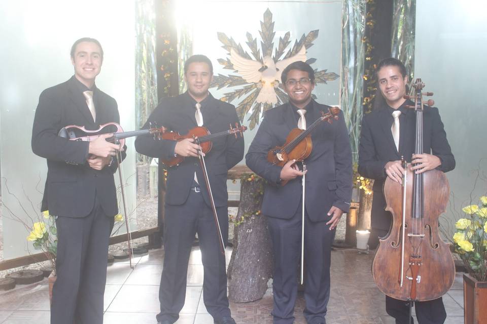 Quarteto de cordas