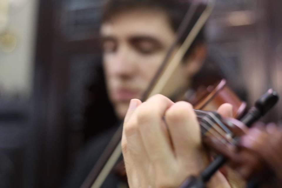 Violino