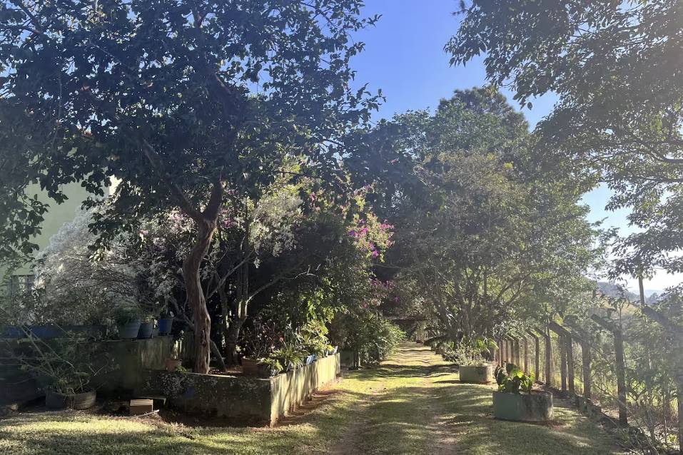 Possível área para cerimônia