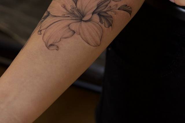 Dri Pauline