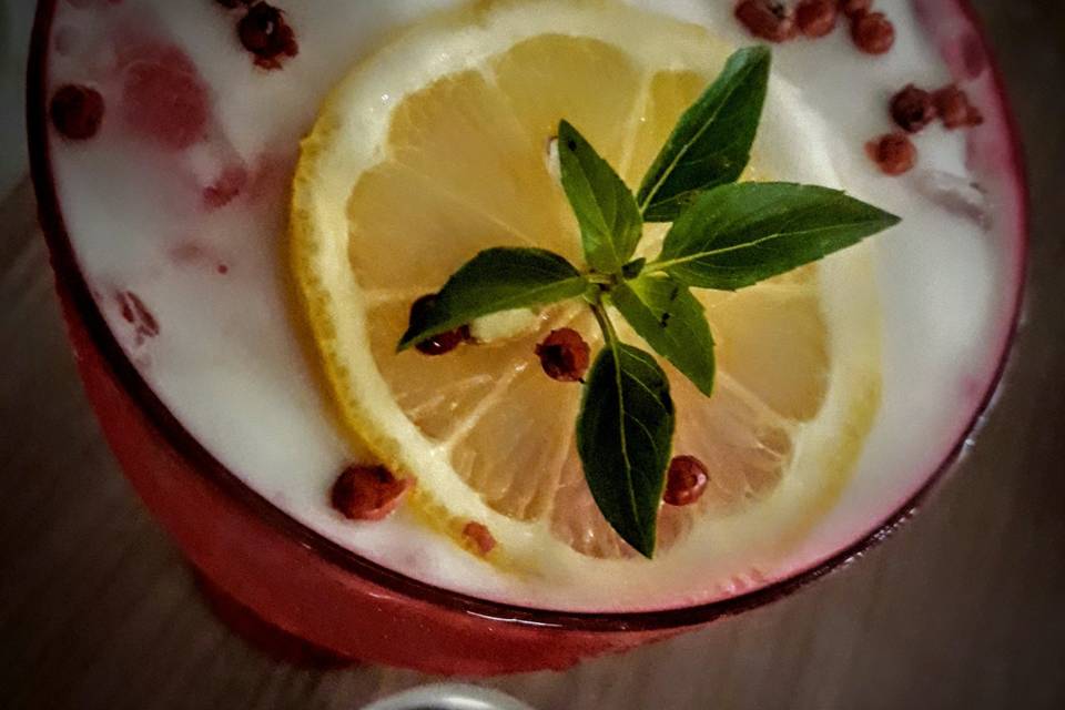 GIn armonizado drink orçamento