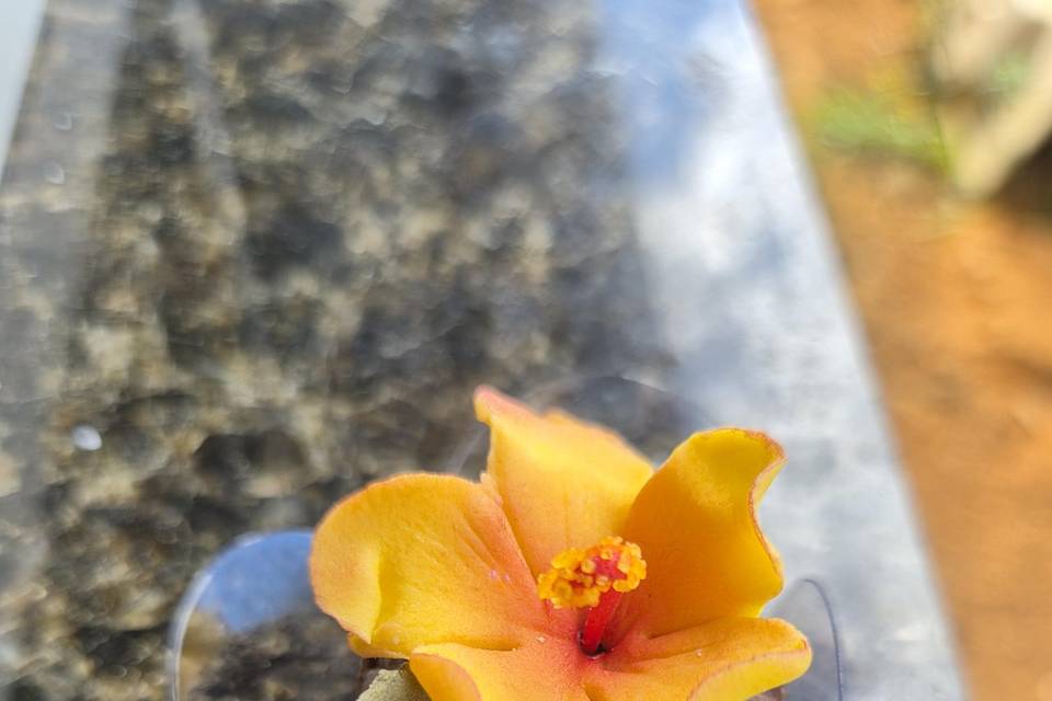 Hibisco amarelo