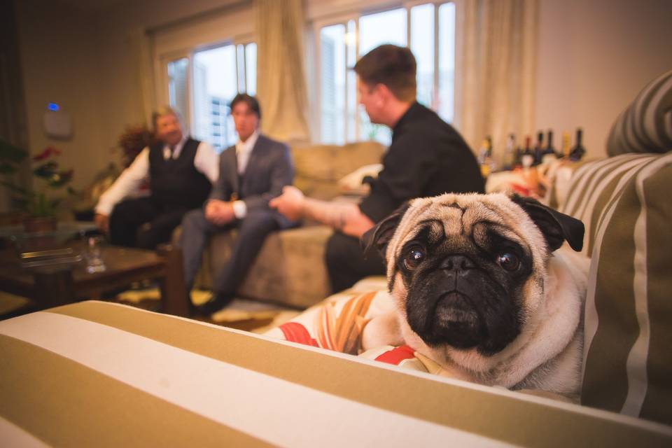 Wedding