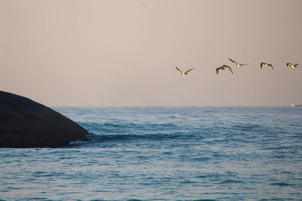 Pedra do arpoador