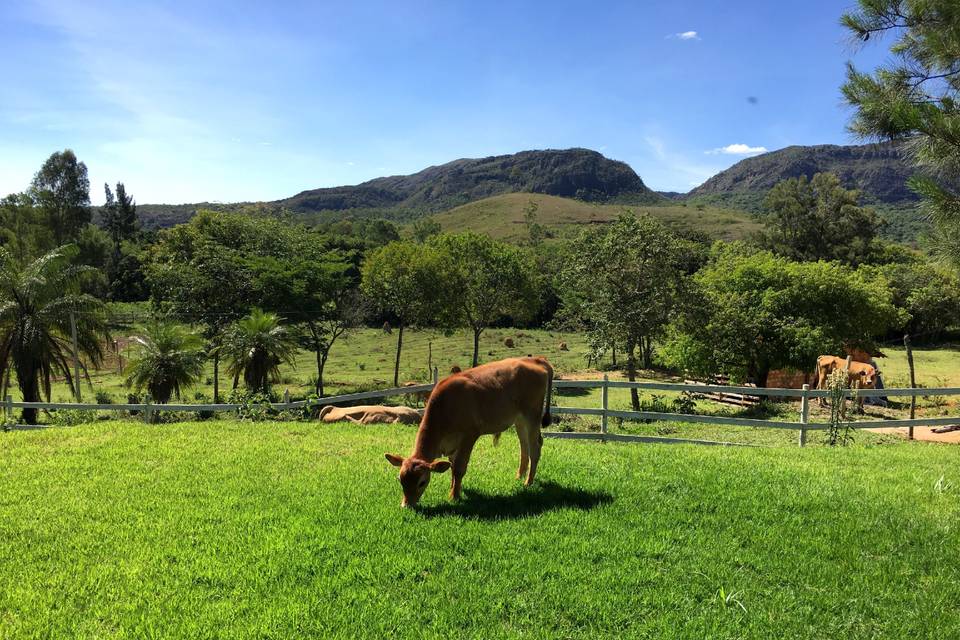 Hotel Pontal de Tiradentes