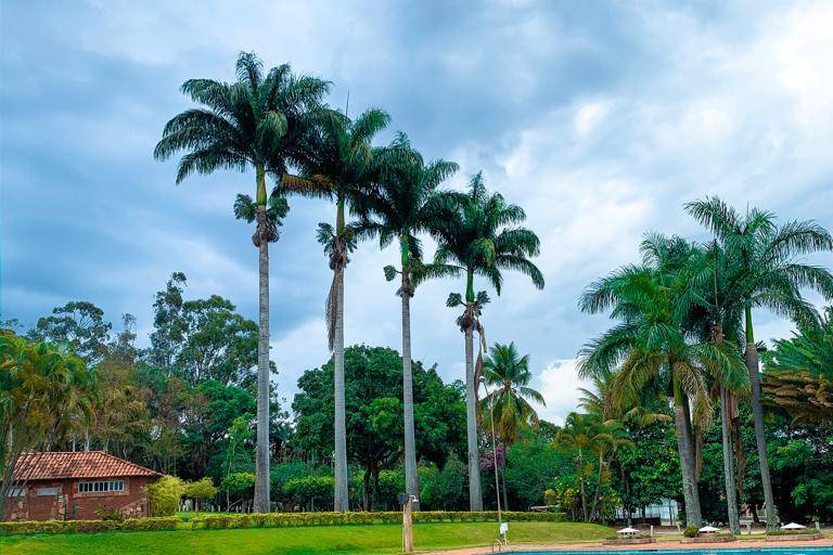 Espaço Imperial Garden