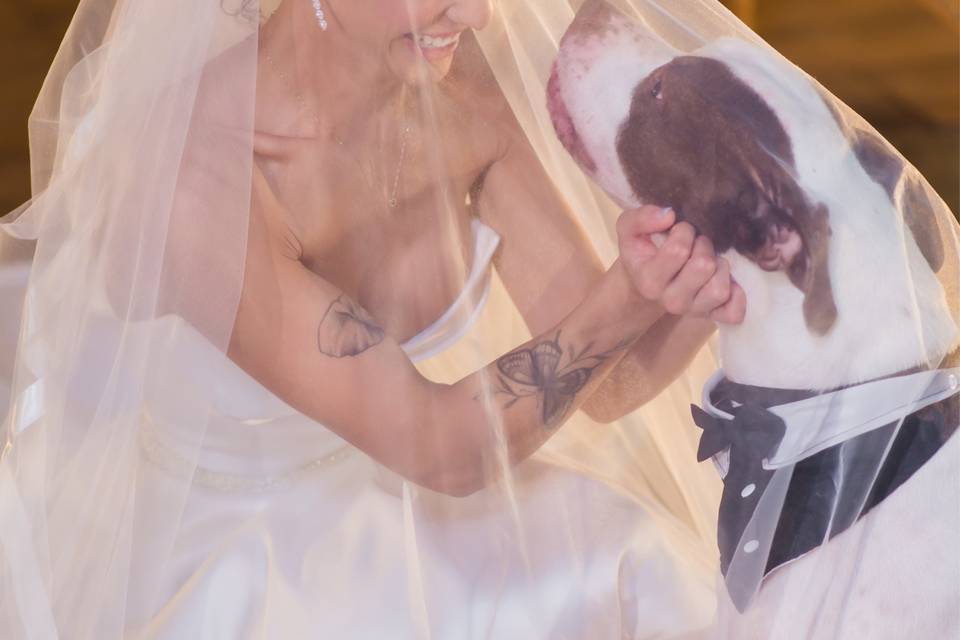 Vision foto e video