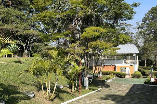 Frente