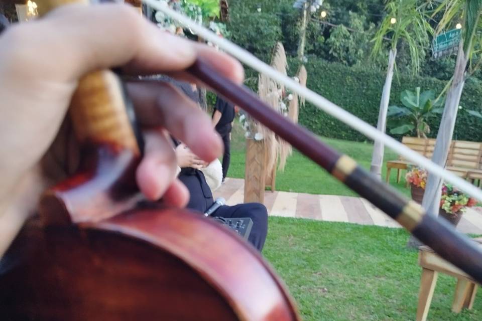 Piano, violino e Cello.