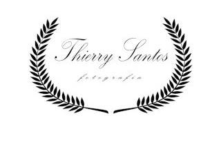 thierry logo