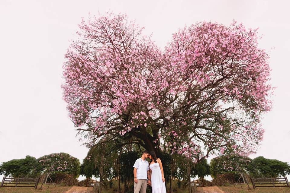 Ensaio pré wedding