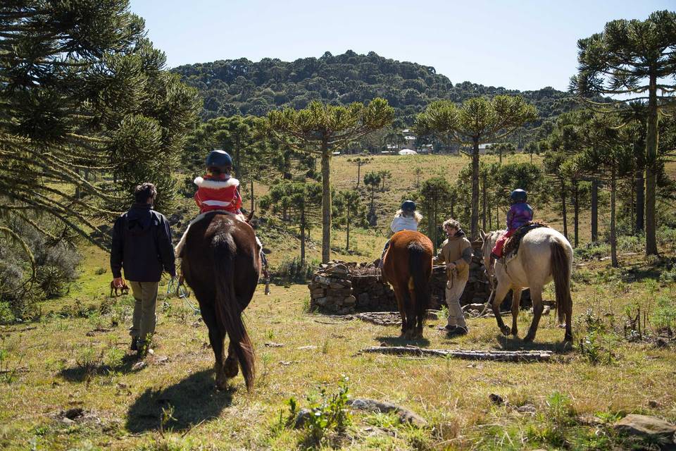 Passeio a cavalo