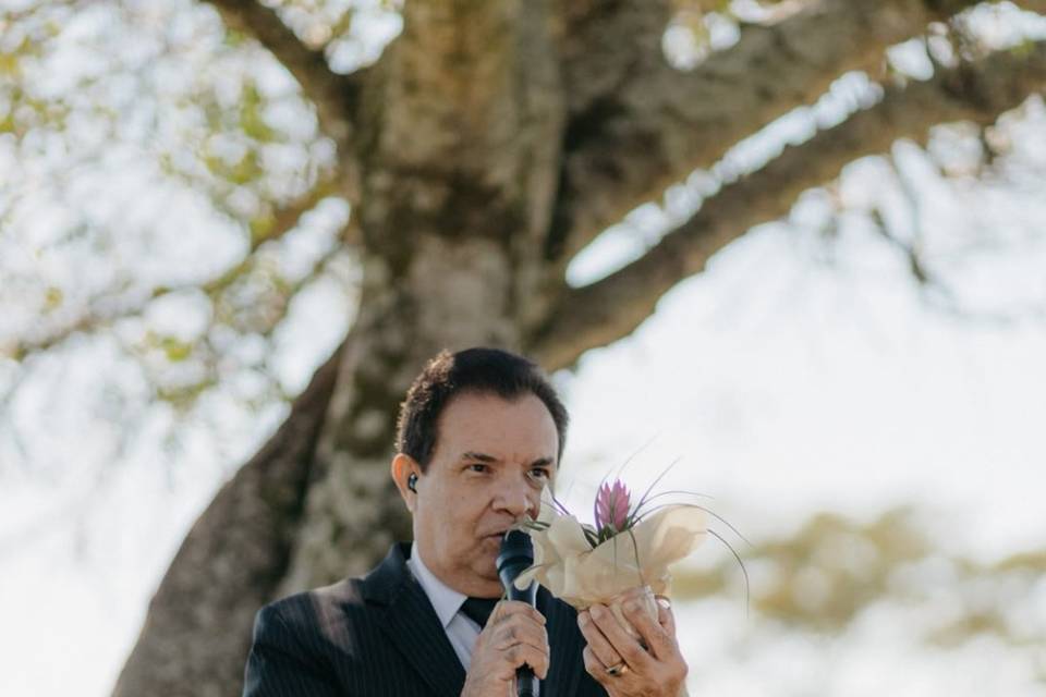 Dinâmica da muda