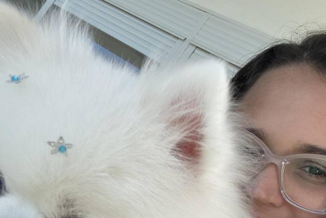 Pet wedding