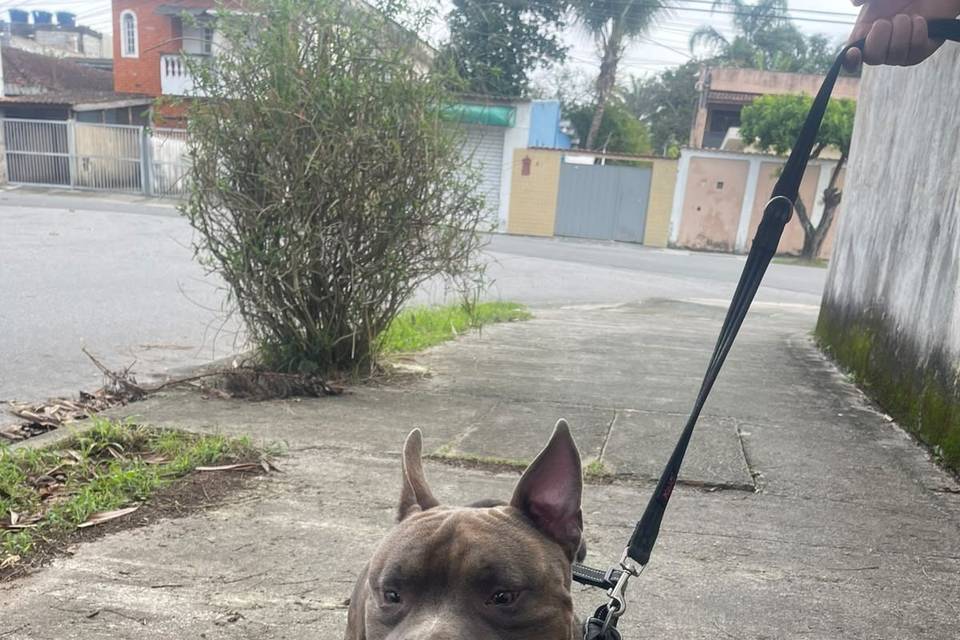 Passeio