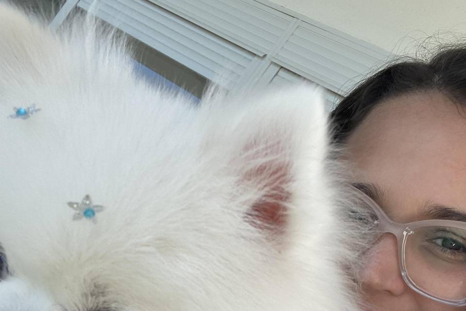 Pet wedding