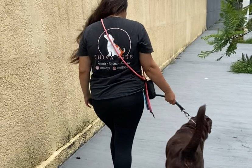 Passeio cachorro