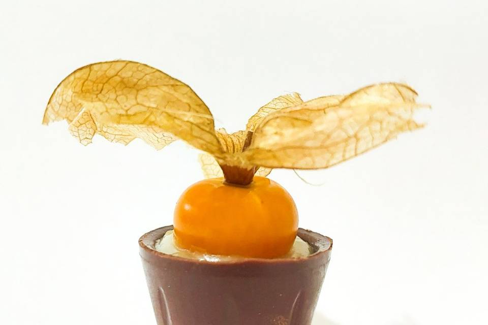 Tasse physalis