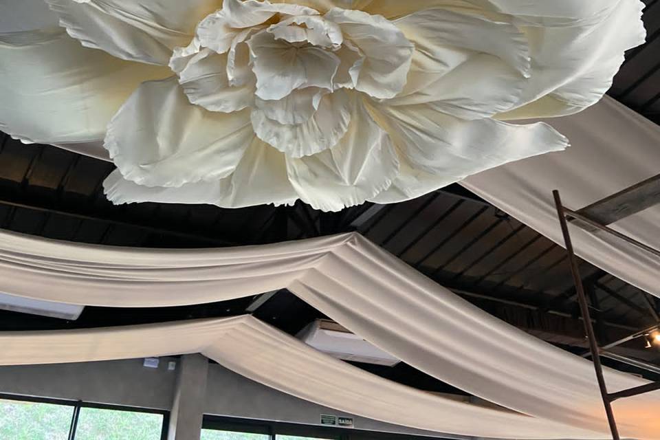 @flavianicrisolidecor