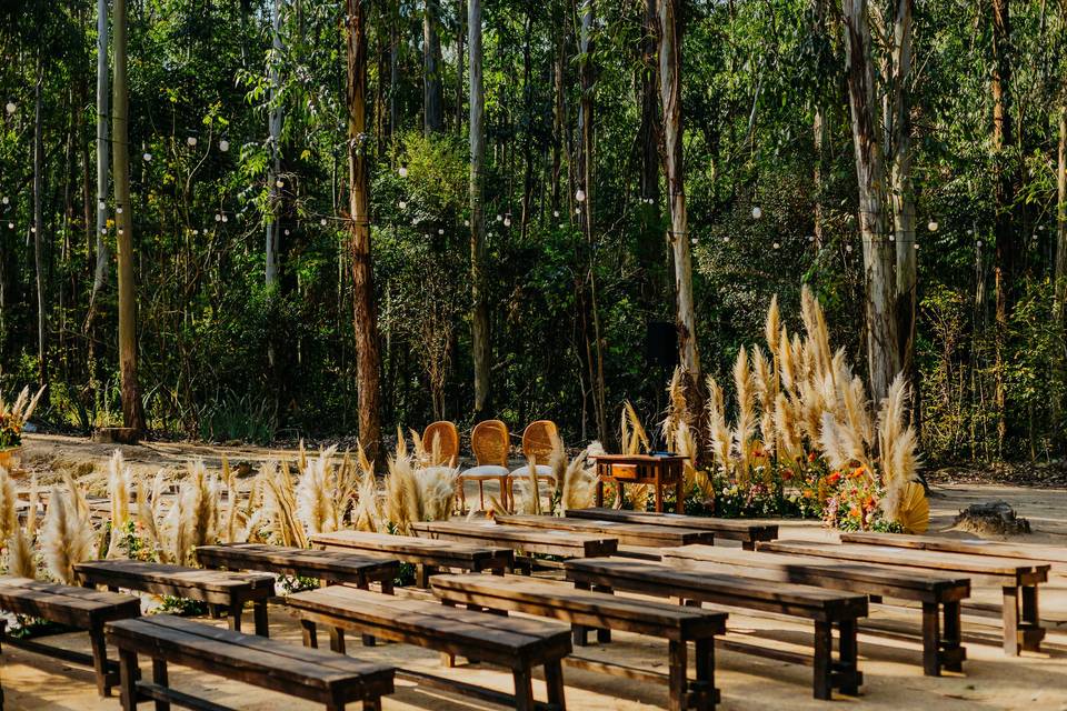 Fazenda Floresta - Campinas