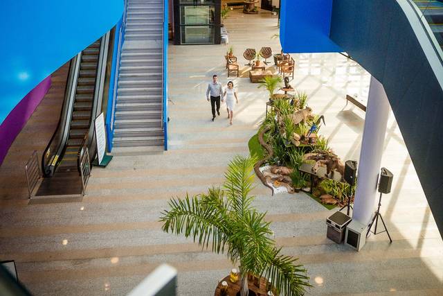 Ensaio Aquário Pantanal