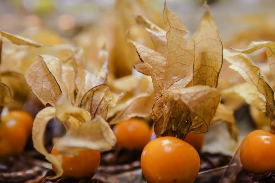 Tarteletes de physalis