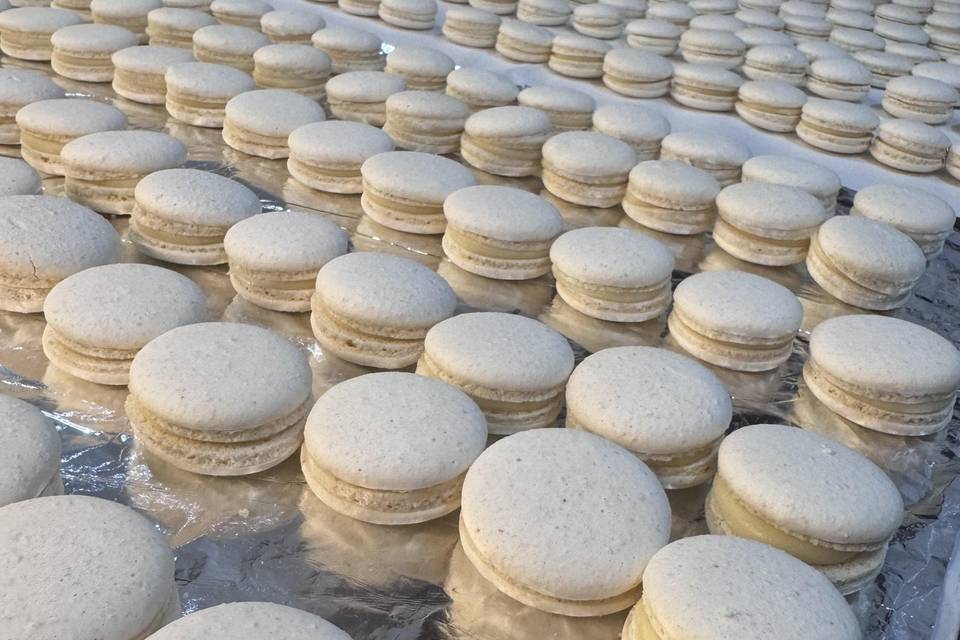 Macaron champagne