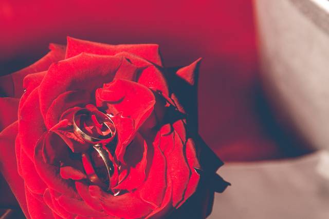 Edy Lopes Fotografia