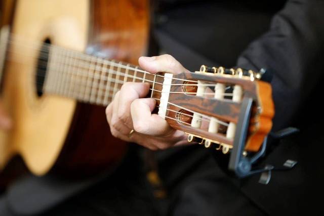 Músicos Profissionais